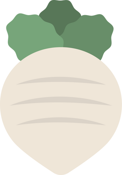 Turnip Flat Icon